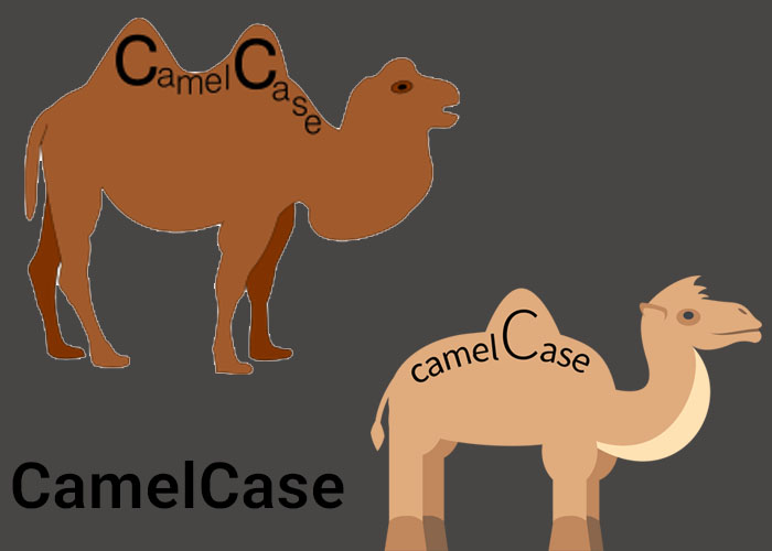 CamelCase چیست و چه کاربردهایی دارد؟ 